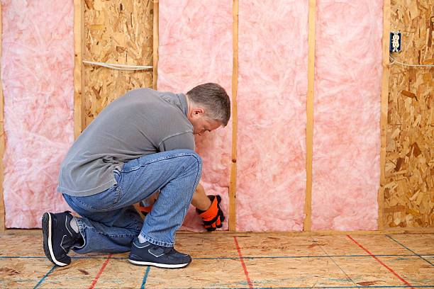 Best DIY Insulation Kits and Guidance in Center Point, AL